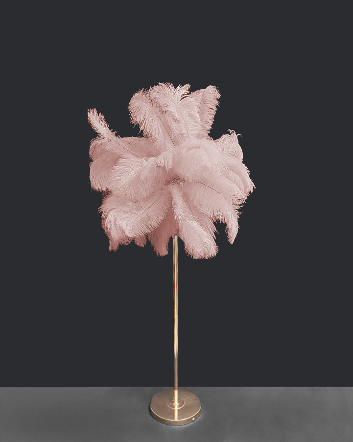 Floor lamp with feathers