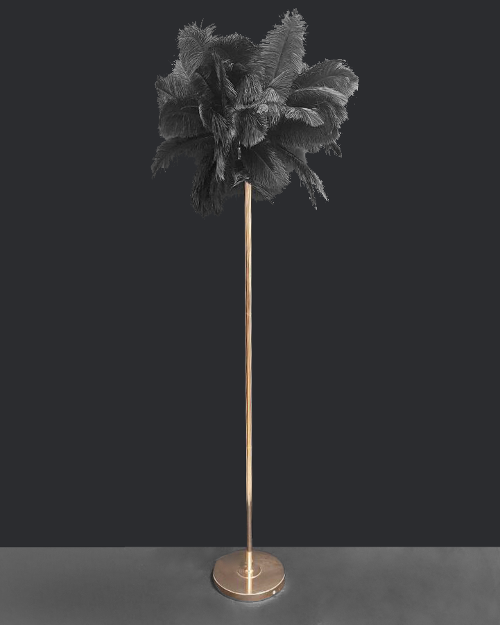 Lampada da terra con piume