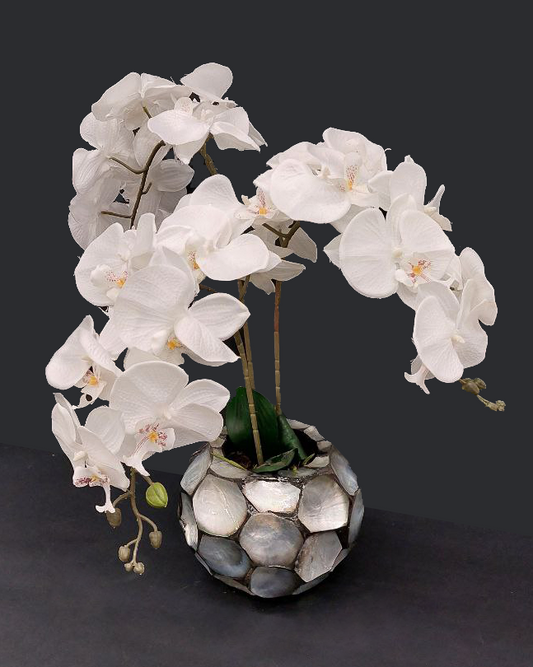 Bouquet rametti di fiori bianchi con vaso grigio