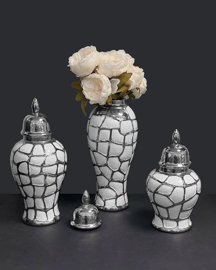 Set di Vasi decorativi con coperchio bianco e argento